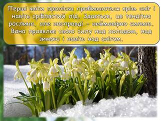 0601cy5d-3ad3-322x242.jpg
