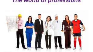The world of professions