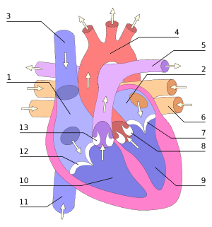 0601czku-e85c-300x321.png