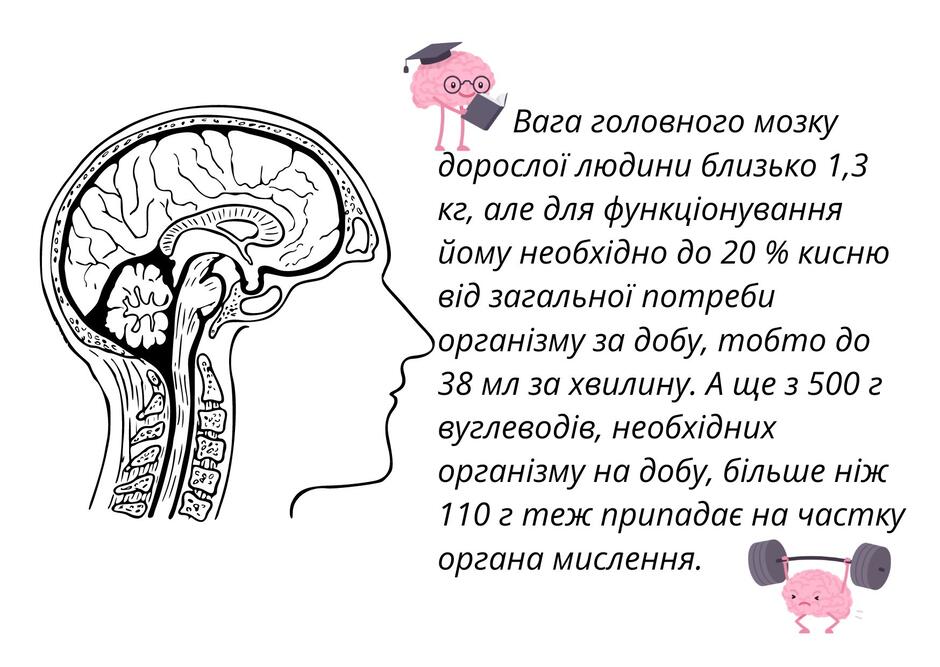 0601d26y-0130-940x667.jpg