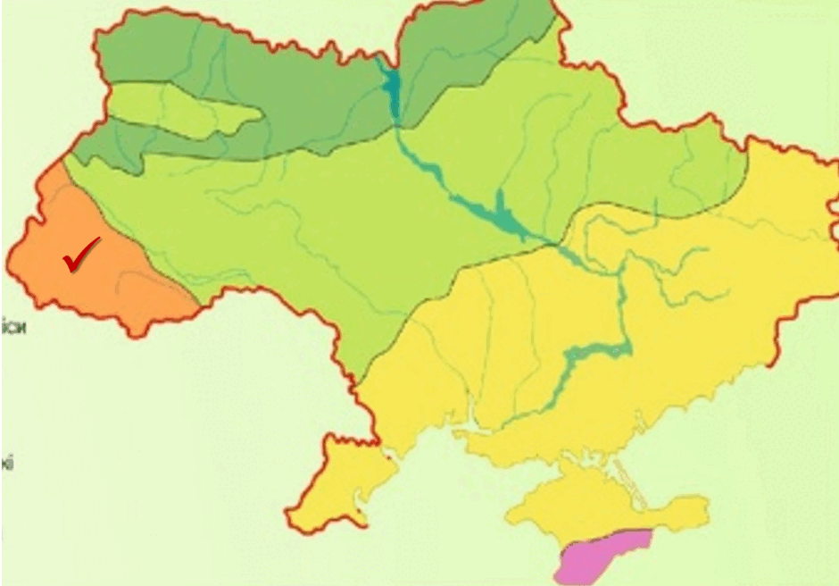 0601d3i6-91e8-940x656.png
