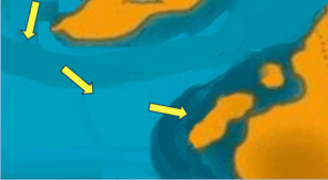 0601d4bw-d0f7-296x163.png