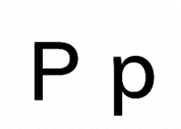 Kinder Club – Letter P – WPPL Blogs