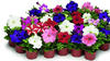 0601d8j6-632e-100x56.jpg
