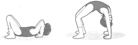 0601ddwf-a471-283x92.png
