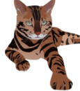 0601dfy3-0f63-115x130.png