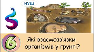 Взаємозв'язки організмів в грунті