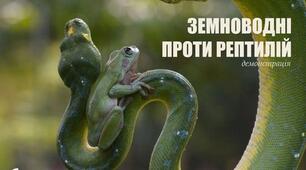 Клас Земноводні. Клас Плазуни