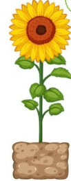 0601dj9p-4850-103x261.png
