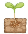 0601dja0-5c0d-93x112.png