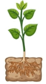 0601dja4-e6d1-96x173.png