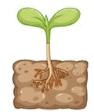 0601dje0-5181-94x112.png