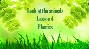 Презентація до підручника Family and friends 2 "Look at the animals. Lesson 4"