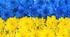 Науково-художня та науково-популярна література як різновид дитячої пізнавальної літератури. Навчальна література, тексти із засобів масової інформації