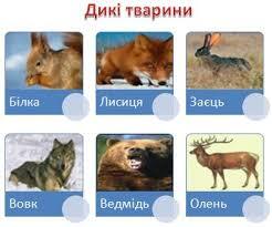Загадки про диких тварин - Dovidka.biz.ua