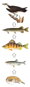 0601dkeq-8ab3-106x302.png