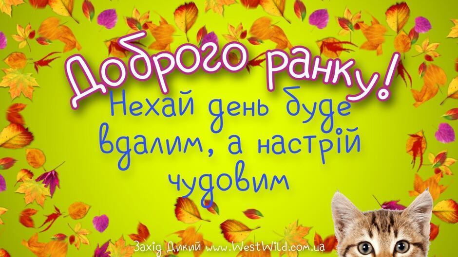 0601dkot-4b09-940x529.jpg