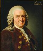 Квітковий годинник Карла Ліннея
