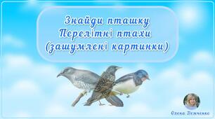 Дидактична гра "Знайди пташку. Перелітні птахи" (зашумлені картинки)