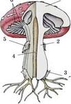 0601dmns-9d42-104x152.jpg