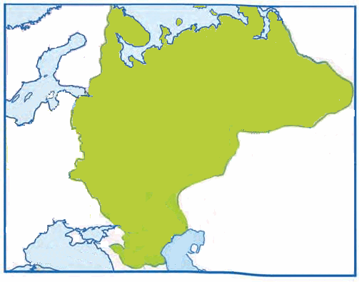 0601dnmc-490c-503x395.png
