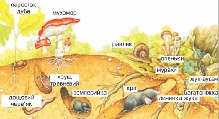 0601dnqc-2d7f-742x405.png