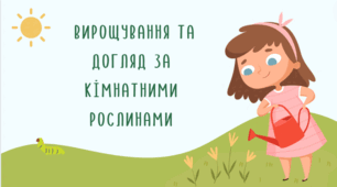 Презентація до уроку " Вирощування та догляд за кімнатними рослинами"
