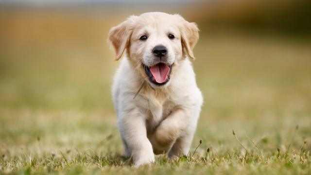 0601dp1s-8660-640x360.jpg