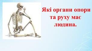 Які органи опори та руху має людина. 