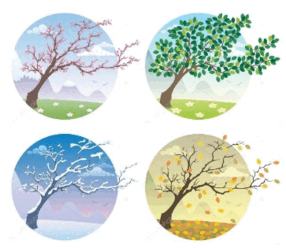 0601dvls-49d4-286x248.png