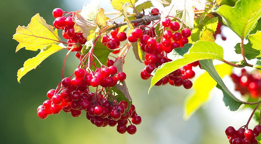 0601dxy4-f56c-870x480.jpg