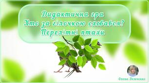 Дидактична гра "Хто за гілочкою сховався?" (перелітні птахи)