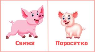 Дидактичні картки "Мама і маля"