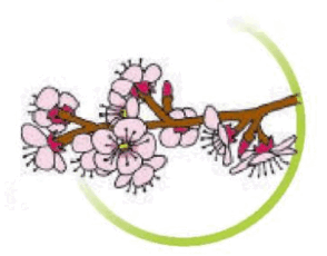 0601dzzu-5d87-294x230.png