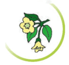 0601e009-4772-232x217.png