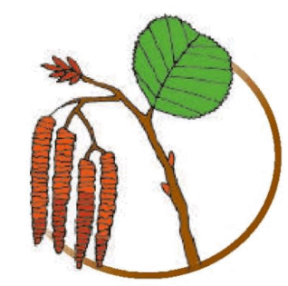 0601e00m-5292-318x315.png