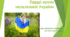 Перші кроки  незалежної України