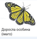 0601e0dj-c8ed-125x133.png