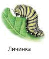 0601e0dk-5ffd-100x121.png