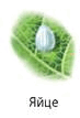 0601e0dn-3ba9-73x107.png