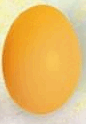 0601e0nj-20f3-86x124.png