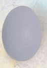 0601e0np-6c04-93x135.png