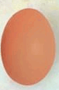 0601e0ok-d99f-85x128.png
