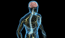 0601e1ab-a675-215x125.png