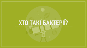 Ранкове коло "Хто такі бактерії?"