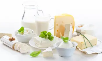 Асортимент молочних продуктів — стокове фото