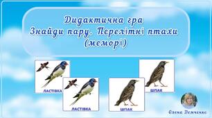 Дидактична гра "Знайди пару. Перелітні птахи" (меморі)