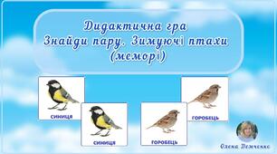 Дидактична гра "Знайди пару. Зимуючі птахи" (меморі)