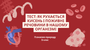 Як рухається кисень і поживні речовини в нашому організмі