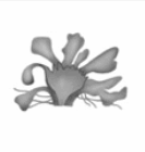 0601e7fg-d58d-133x140.png